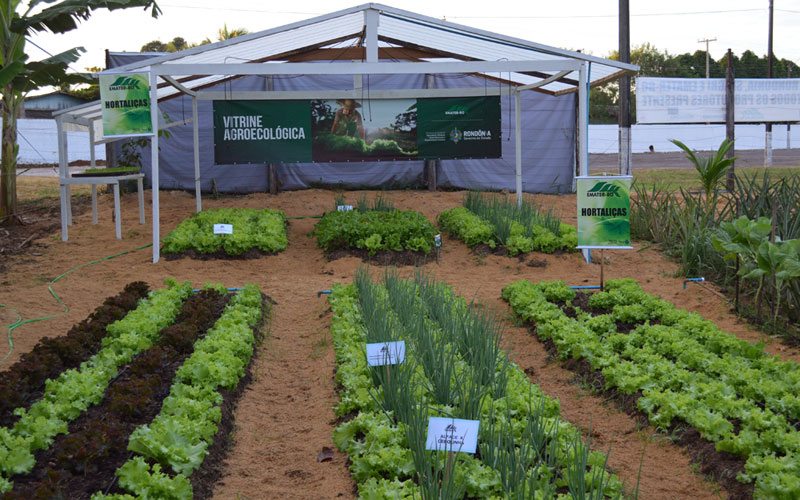 Emater mostrará perspectivas para setor produtivo durante 7ª Rondônia Rural Show