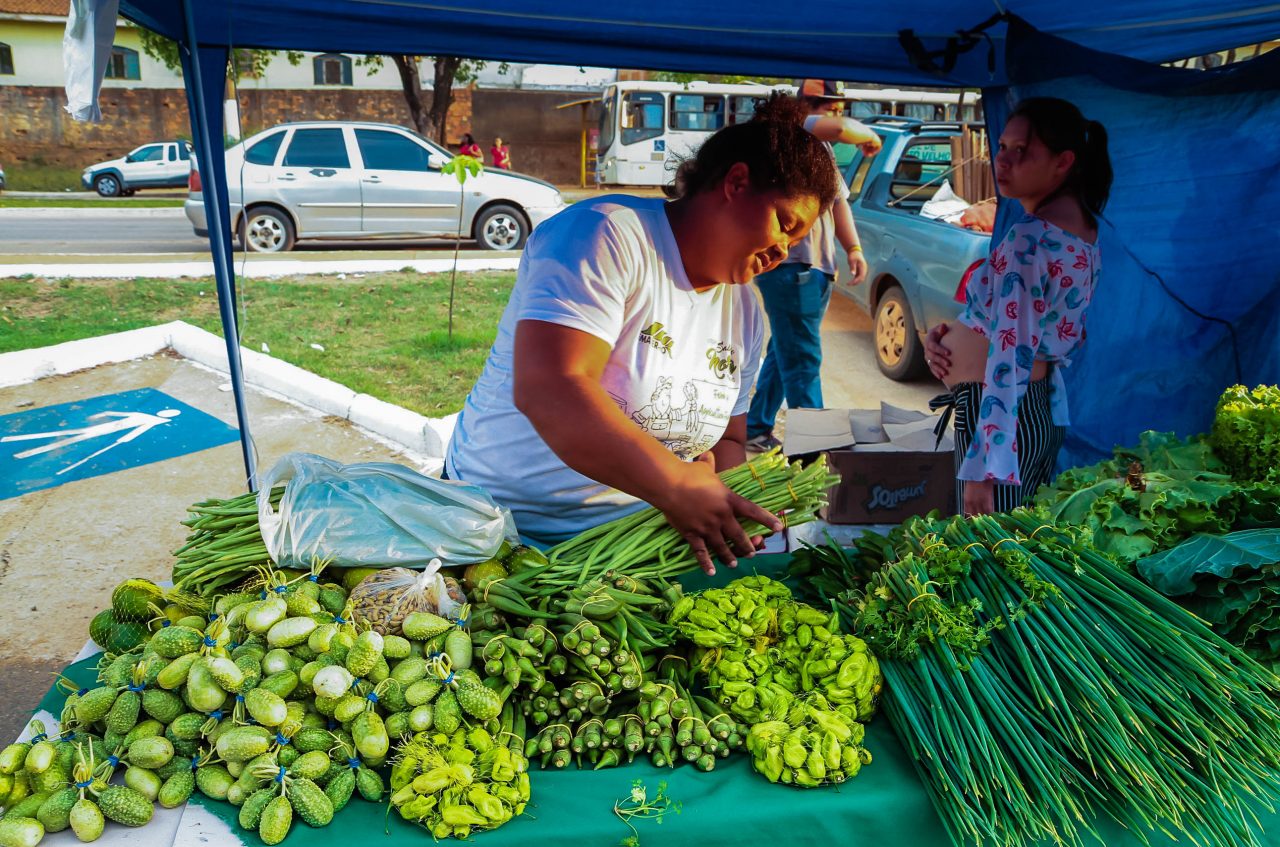 INICIATIVA: Produtores rurais expõem seus produtos em feira idealizada pela Emater