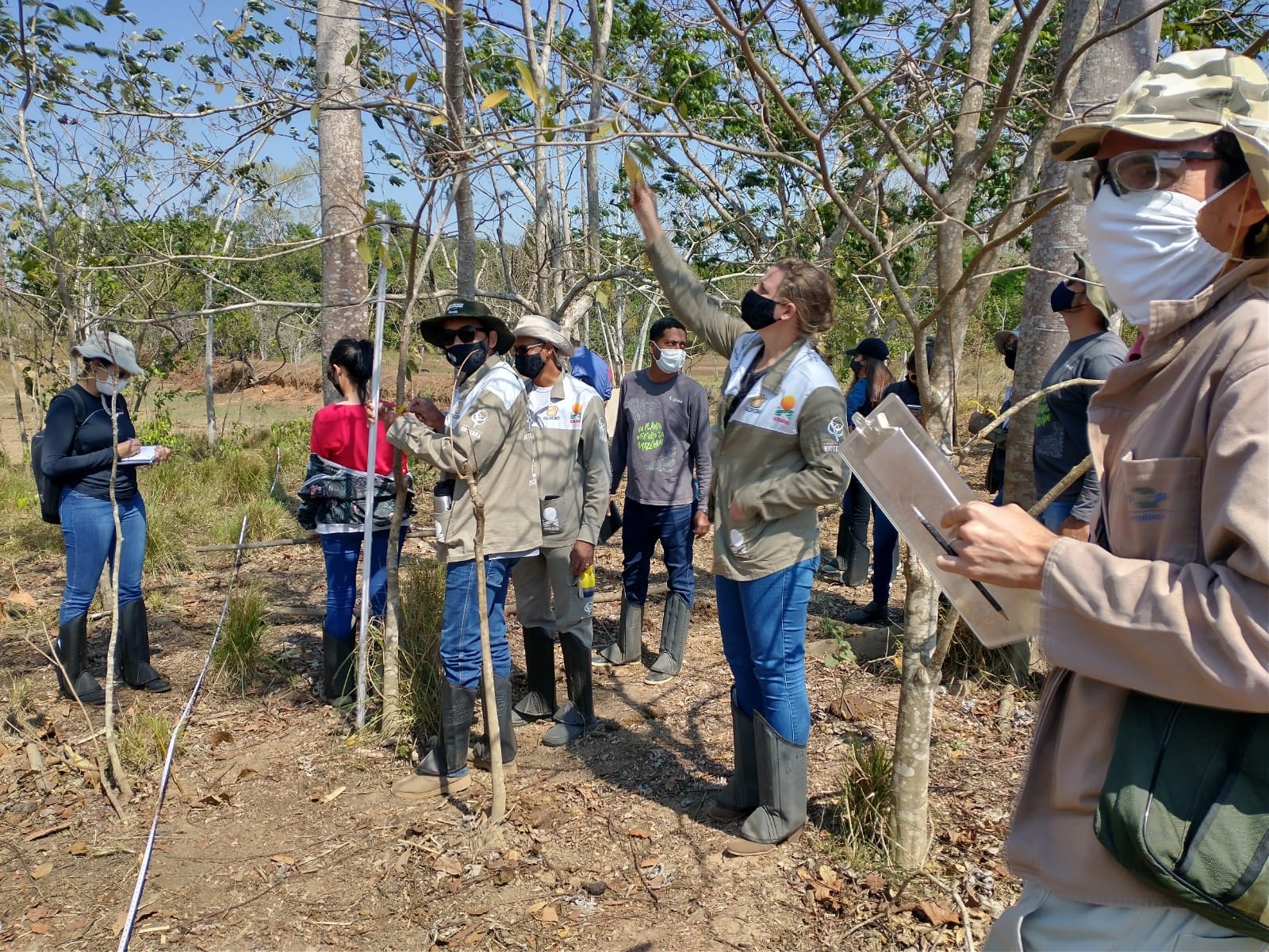 AGROTAG: Sistema de georreferenciamento da Embrapa já está disponível em Rondônia