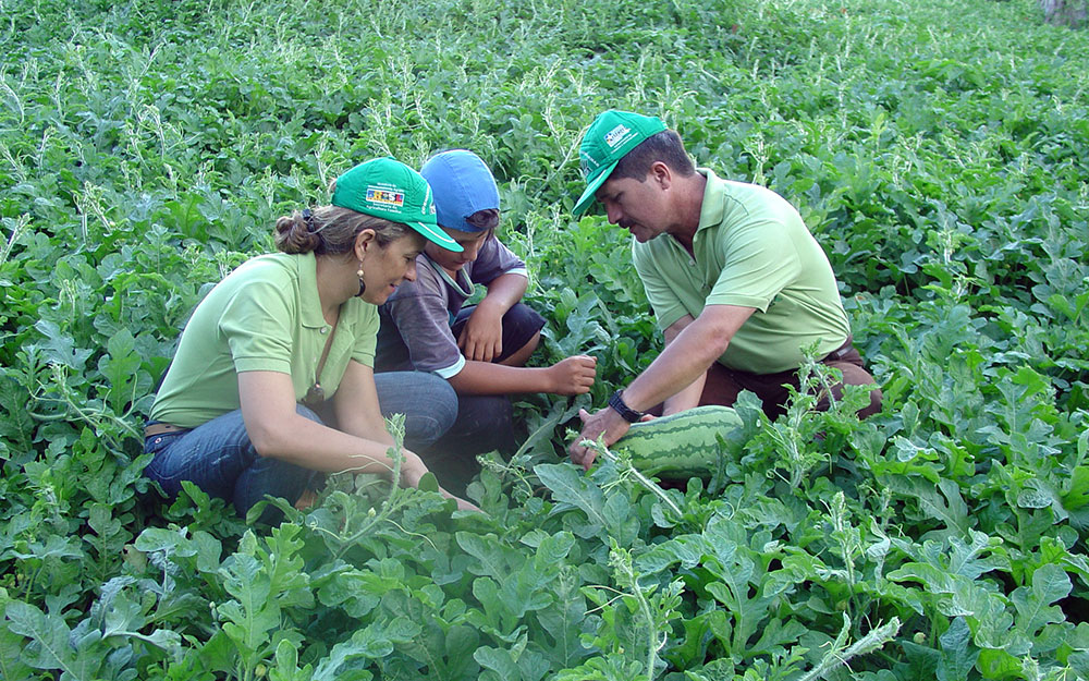 AGRICULTURA FAMILIAR: Estado será pioneiro na implantação de projeto piloto do Programa Famílias Fortes