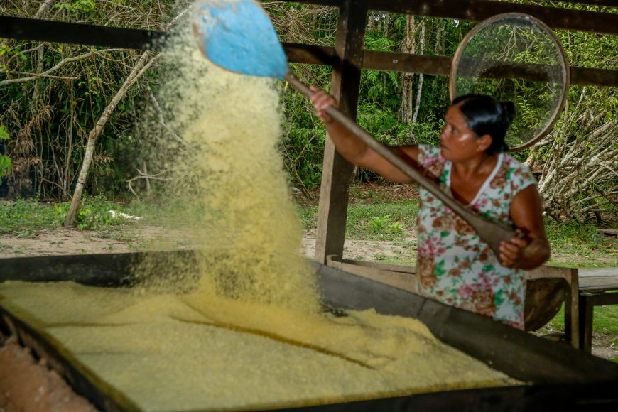 ECONOMIA VERDE: Farinheira é beneficiada com recurso do crédito de carbono