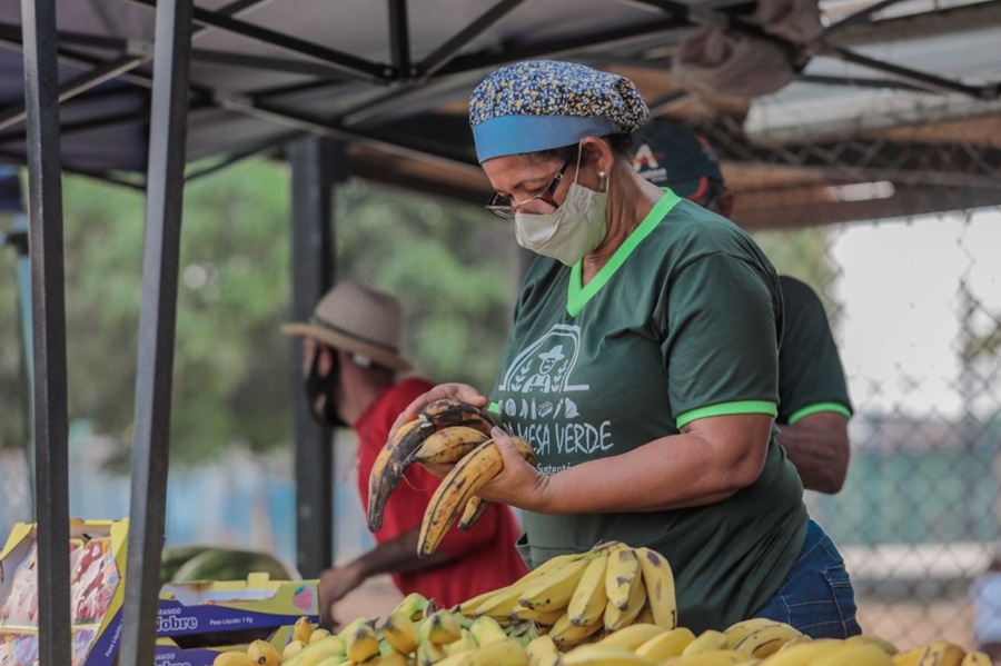 AVISO: Feira do Cai N’Água funcionará em novo local a partir de domingo (26)