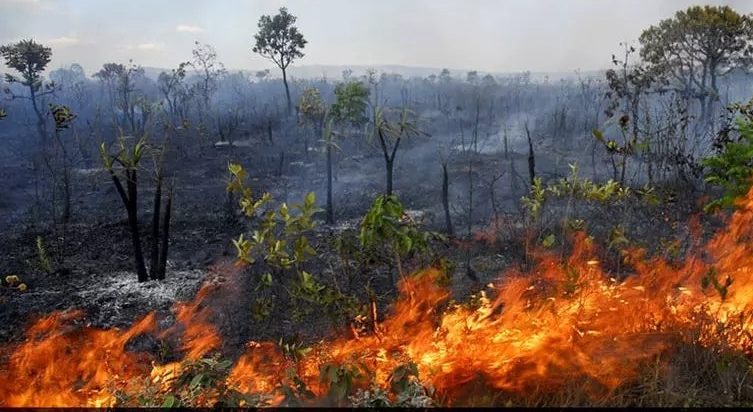 QUEIMADAS: Ministro da Defesa diz que situação na Amazônia não está fora de controle