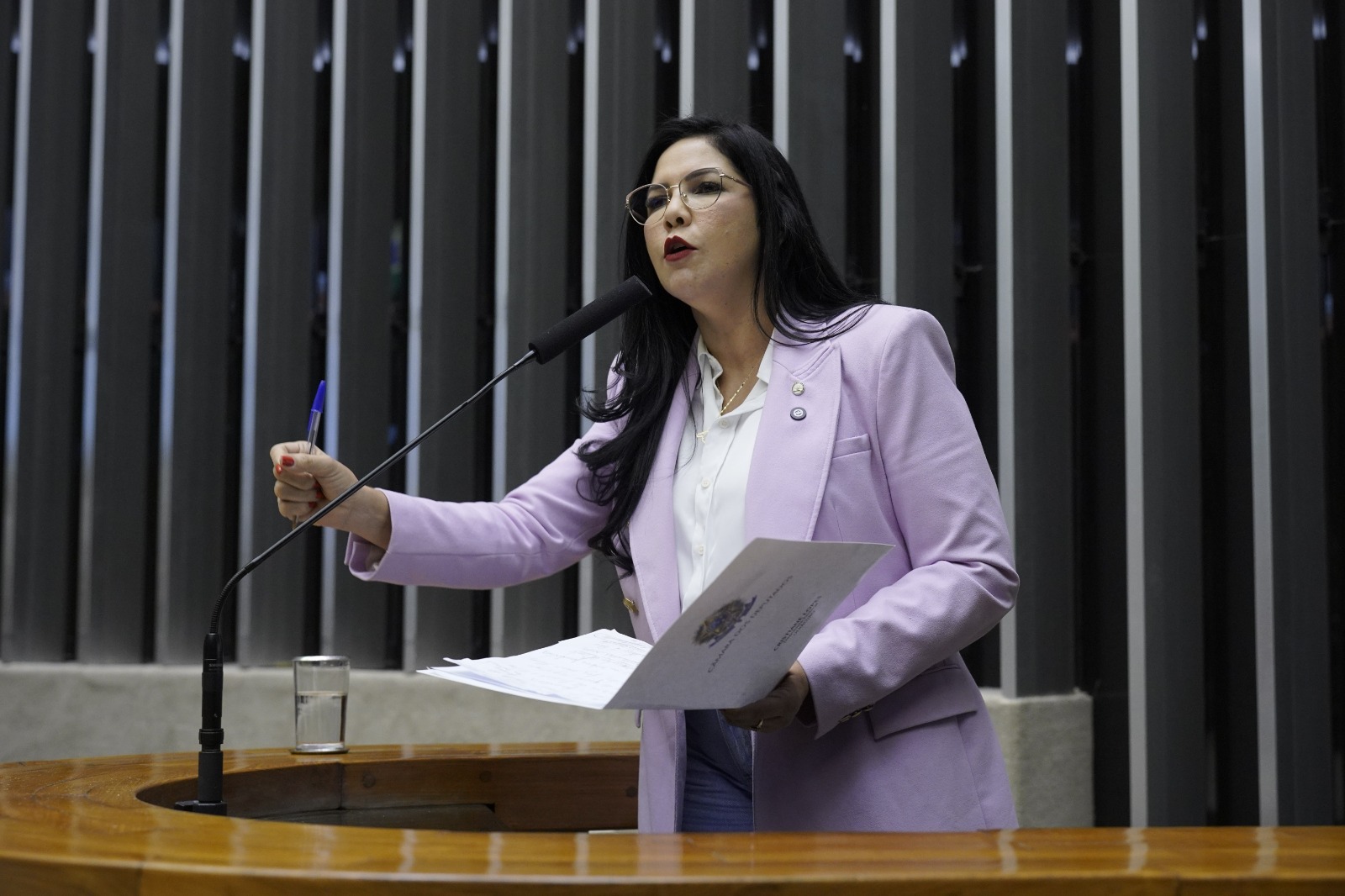 DESINTRUSÃO: Deputada Cristiane Lopes denuncia ação de retirada de famílias rurais em RO