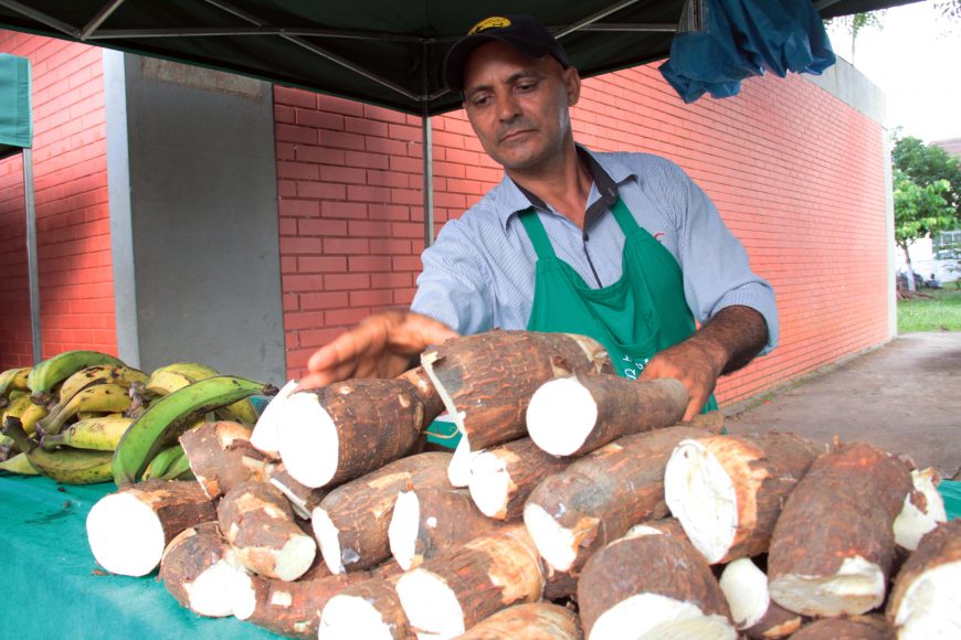 Feira Sabor do Campo vende grande variedades de produtos