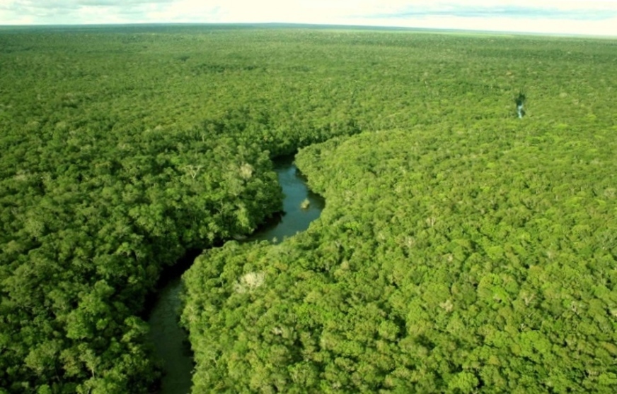 MEIO AMBIENTE: Votação de PL que desafeta unidades de conservação será em 2021