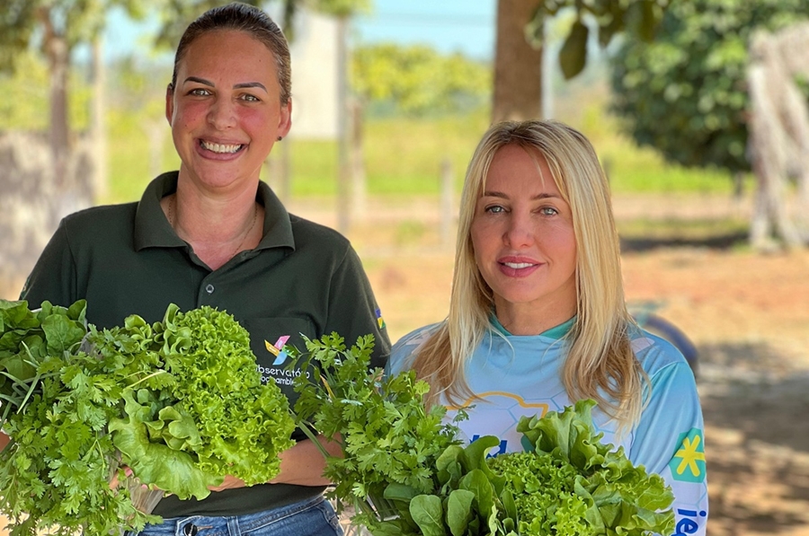 IEDA CHAVES: Deputada investe mais de R$ 90 mil para fortalecer produção agrícola