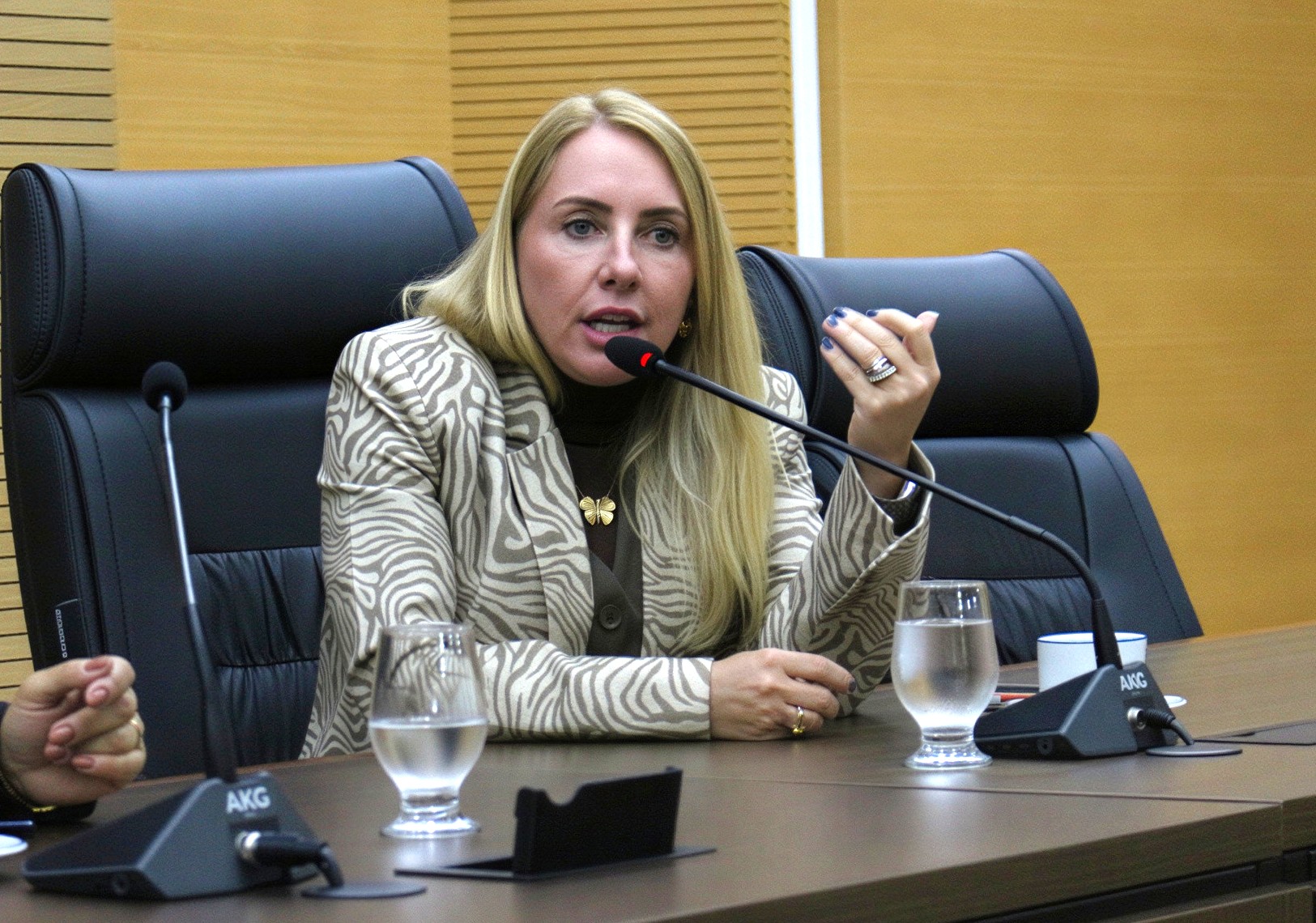 IEDA CHAVES: Deputada propõe internet por fibra óptica em escolas estaduais de Rondônia