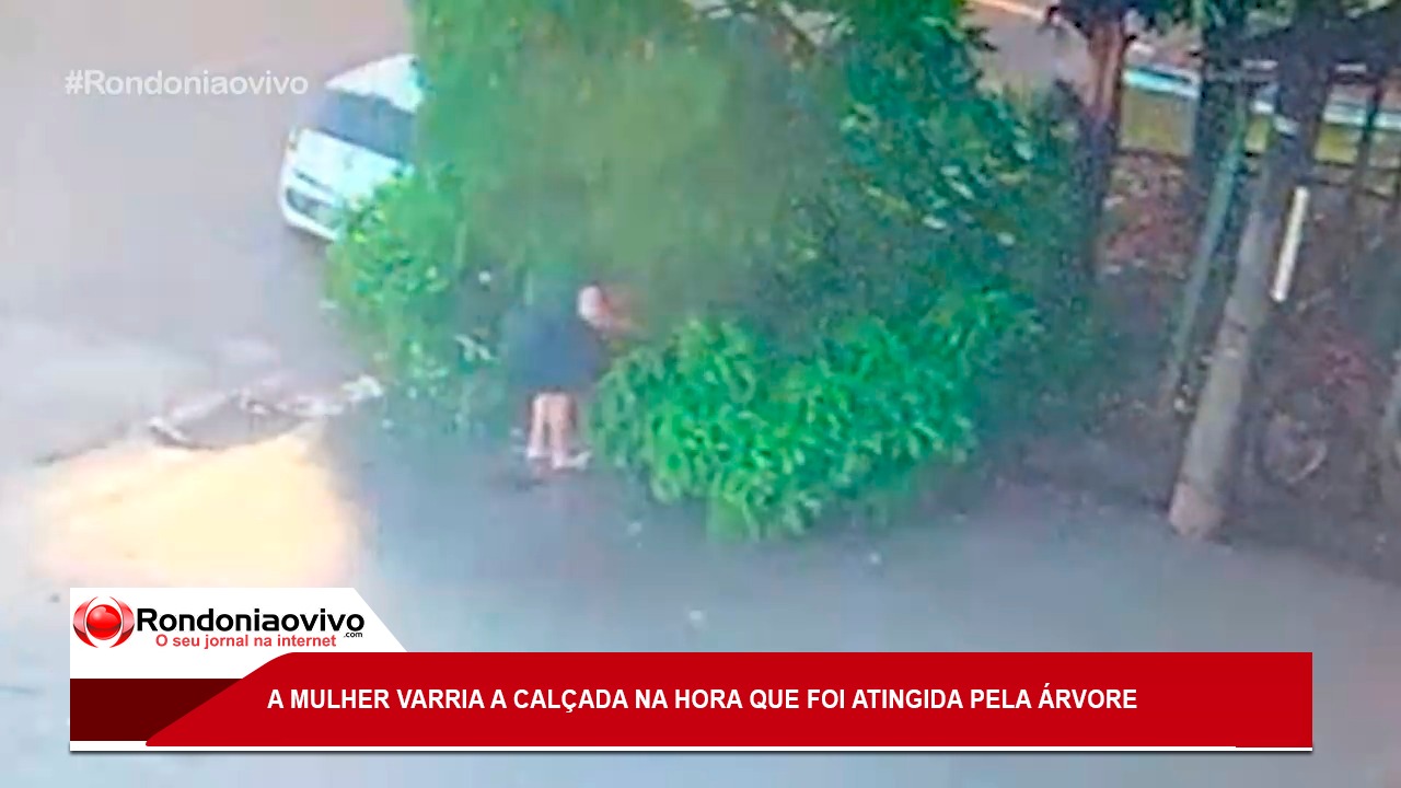 VEJA O MOMENTO: Vídeo mostra dona de casa sendo atingida por árvore que desabou