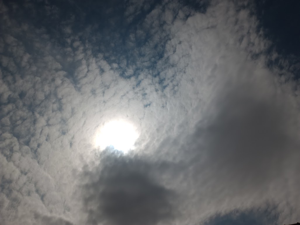 CALOR MOLHADO: Tempo chuvoso marca terça (14) de Rondônia, até em Corumbiara 