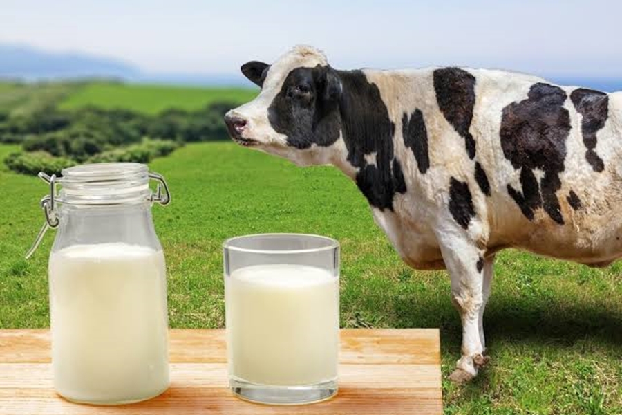 SETOR PRODUTIVO: Entidades em RO se preocupam com Lei que redireciona verbas do PROLEITE