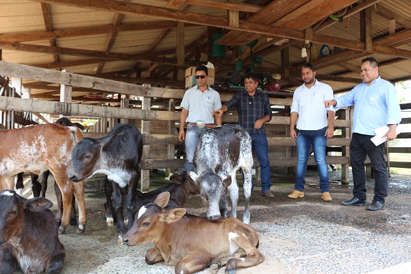 AGROPECUÁRIA: Projeto Sebrae homenageia Dia do Produtor Rural