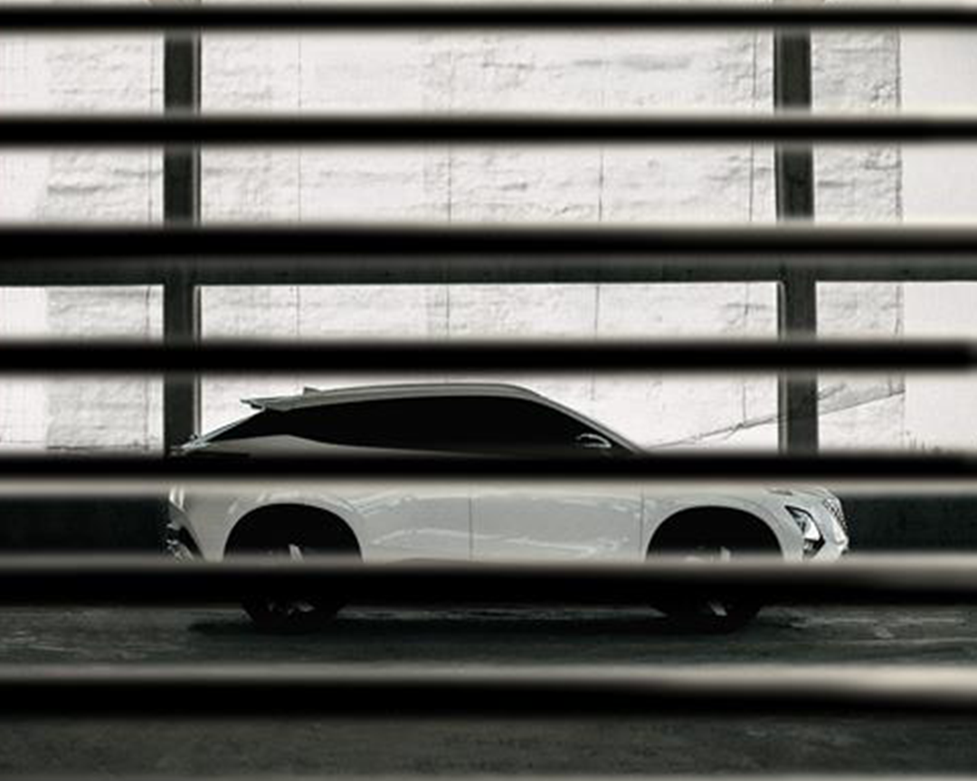 INOVAÇÃO: Autovema E - Car amplia oferta de veículos eletrificados em Rondônia 