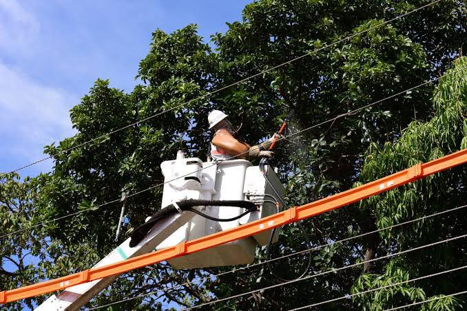 TAISSA SOUSA: Deputada cobra melhorias e Energisa inicia manutenção na Aldeia Tanajura