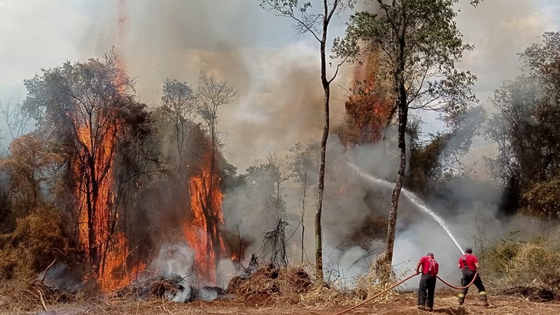 MEIO AMBIENTE: ABNT lança norma técnica sobre proteção para incêndios florestais