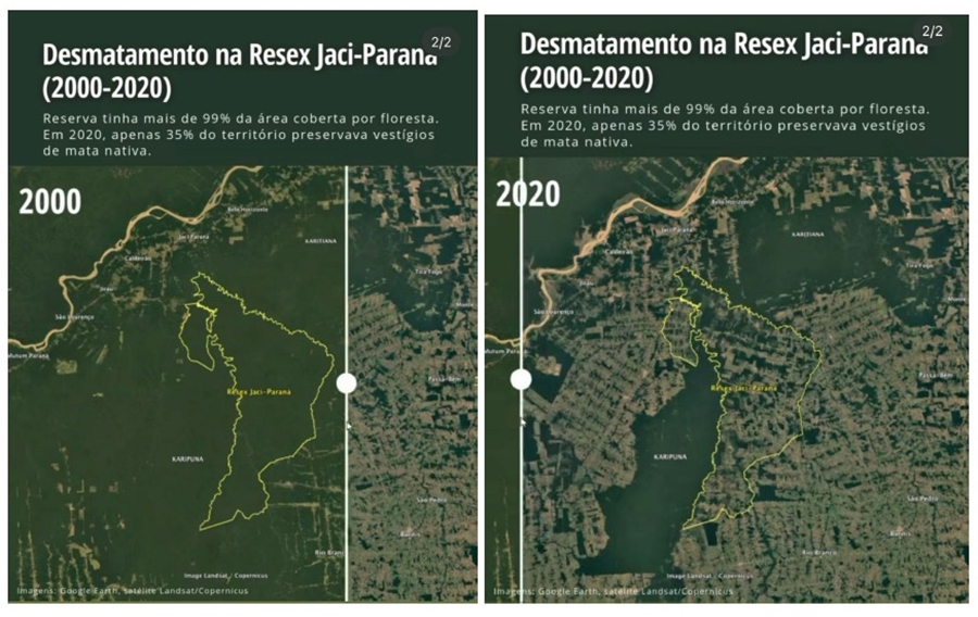 DEVASTAÇÃO: MPF pede que gestão da Reserva Extrativista Jaci-Paraná passe para a União