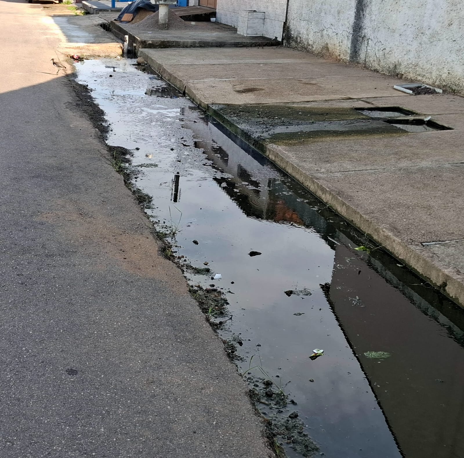NOVA FLORESTA: Moradores do bairro denunciam esgoto a céu aberto na rua Indiana