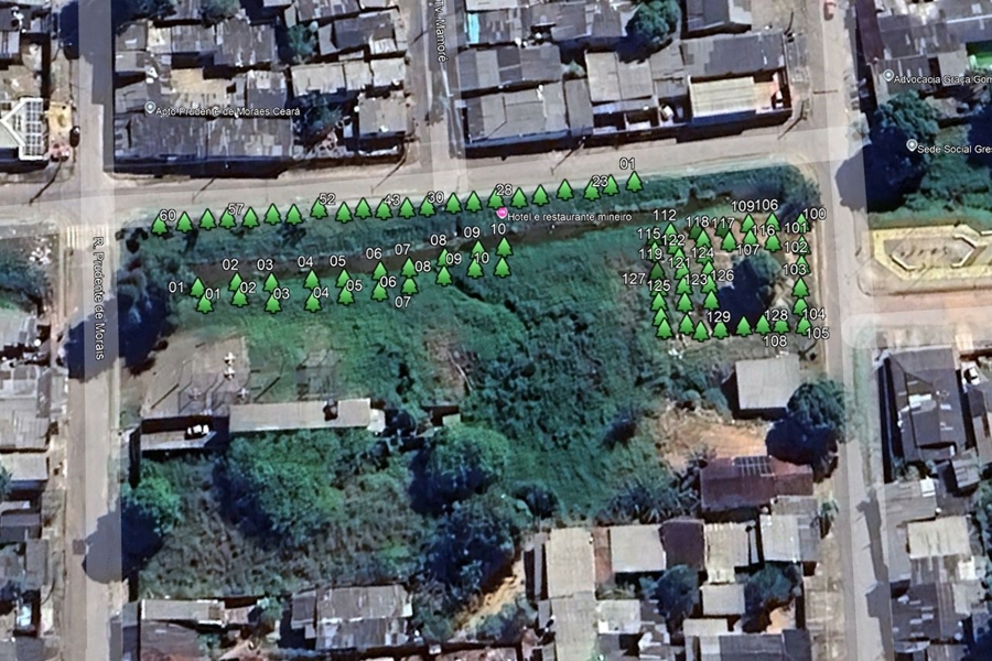 RECUPERAÇÃO E MANUTENÇÃO: Prefeitura atua em proteção ambiental e espaço público