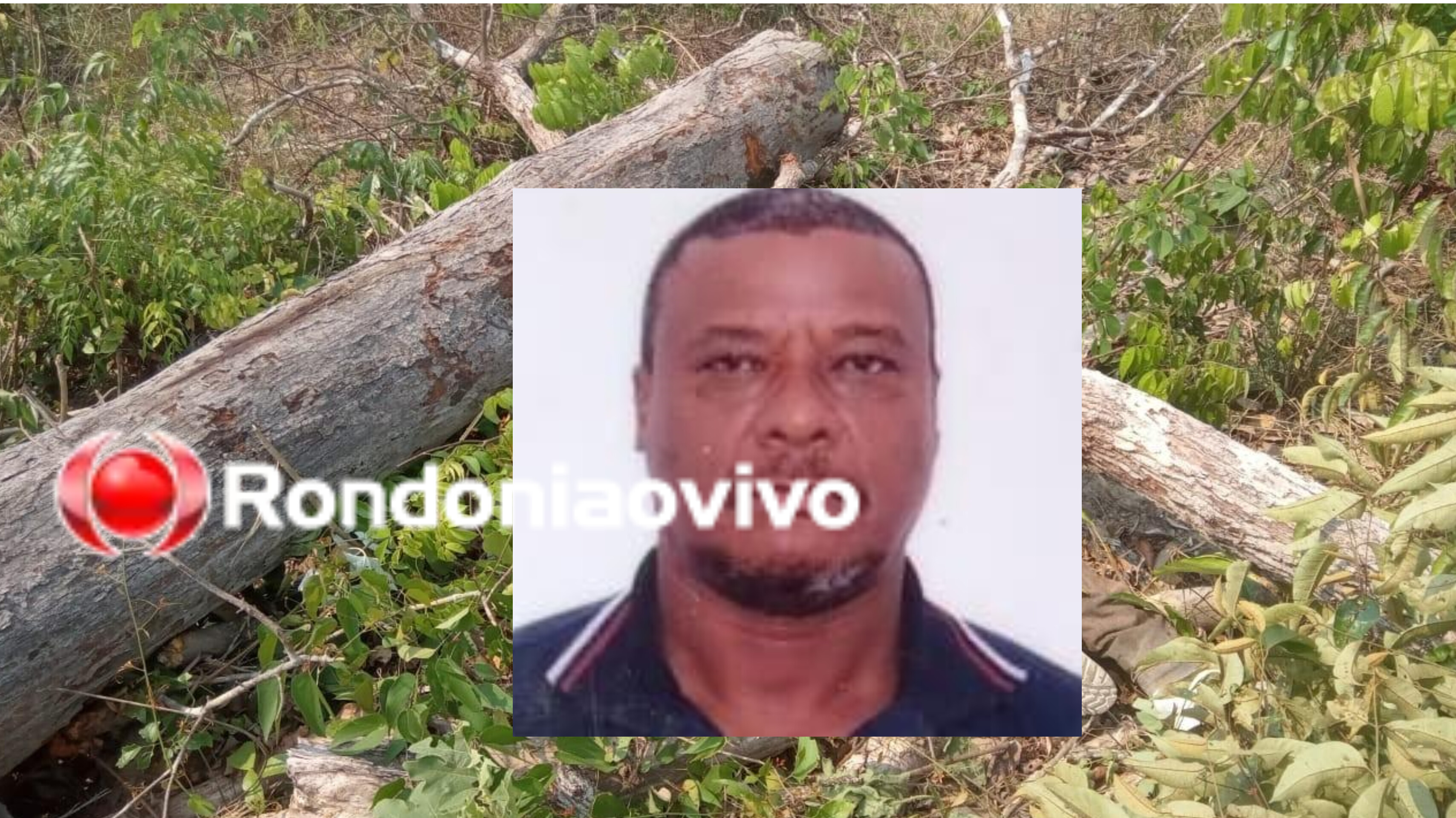 ATINGIDO NA CABEÇA: Dono de propriedade rural morre durante derrubada de árvore 