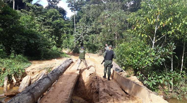 KARIPUNA: Força Tarefa denuncia nove pessoas por invasão e loteamento da terra indígena