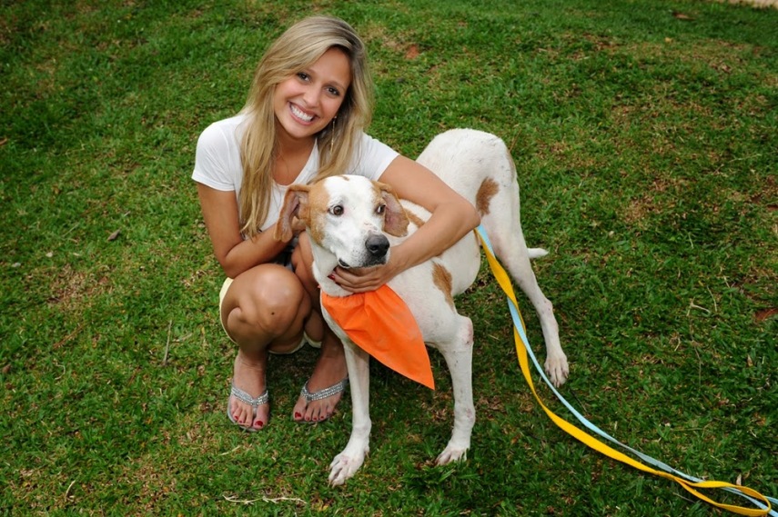 PROTEÇÃO DOS ANIMAIS: Luisa Mell não mata pernilongos: 