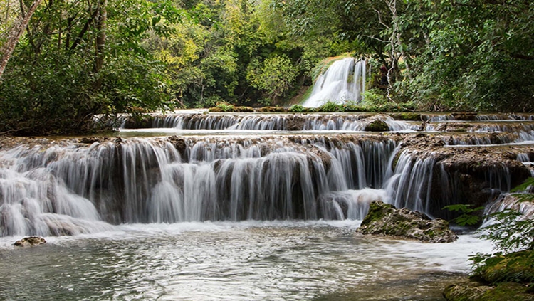 MEIO AMBIENTE: Cresce a busca por destinos que têm maior conexão com a natureza