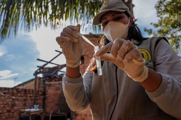 AEDES AEGYPTI: População deve ajudar a combater criadouros para evitar doenças