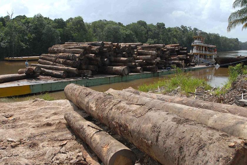 AGRESSÃO: Ministério do Meio Ambiente repudia ataques a equipes em RO e Pará