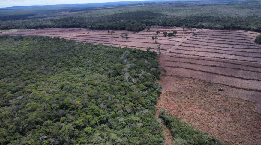 O CRIME COMPENSA: Nova lei em Rondônia perdoa até 95% de dívidas de desmatadores