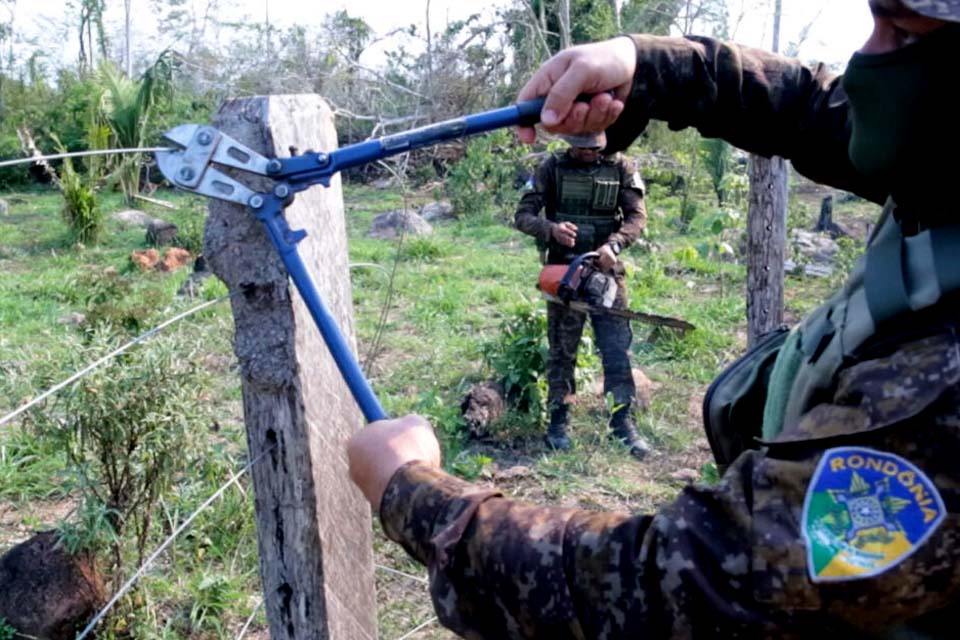 OPERAÇÃO MAPINGUARI: Multas para invasores de parque estadual chegam a R$ 140 milhões 