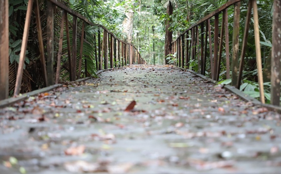 FERIADO: Parque Ecológico Natural estará fechado na próxima sexta-feira (7)