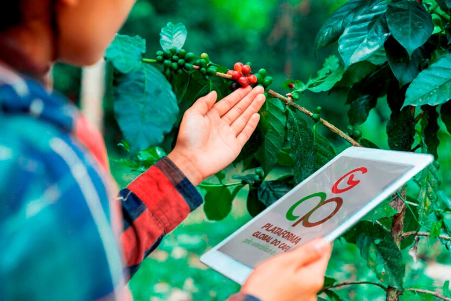 CAFÉ: Parceria com a GCP oferece capacitação para produtores e técnicos