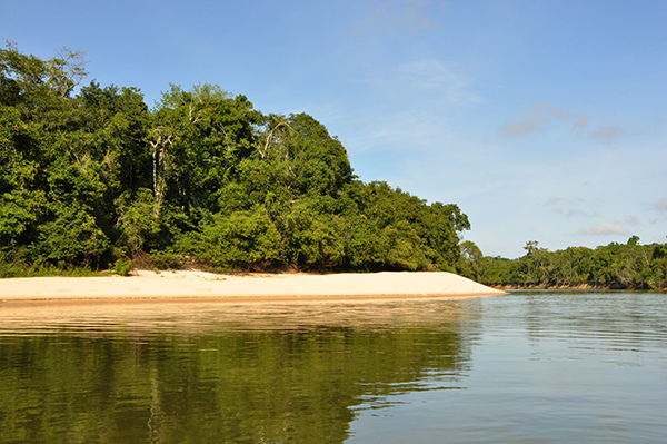 MEIO AMBIENTE: Termo de Cooperação em RO vai impulsionar o turismo e preservação ambiental