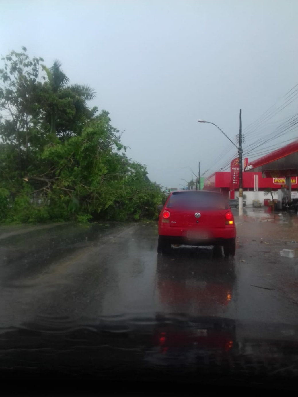 TEMPORAL: Forte chuva deixa rastro de destruição em Porto Velho