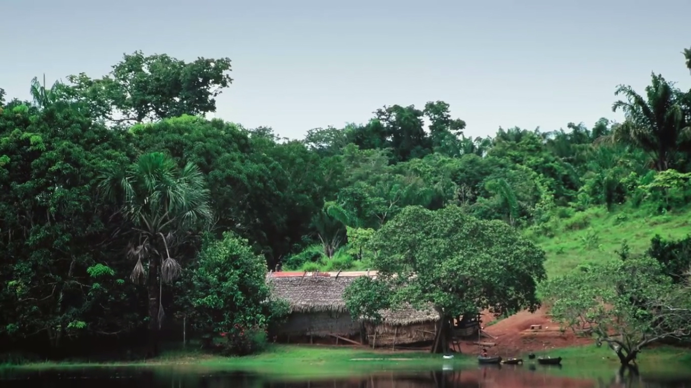 MEIO AMBIENTE: Caixa lança programa de apoio a comunidades que vivem em florestas