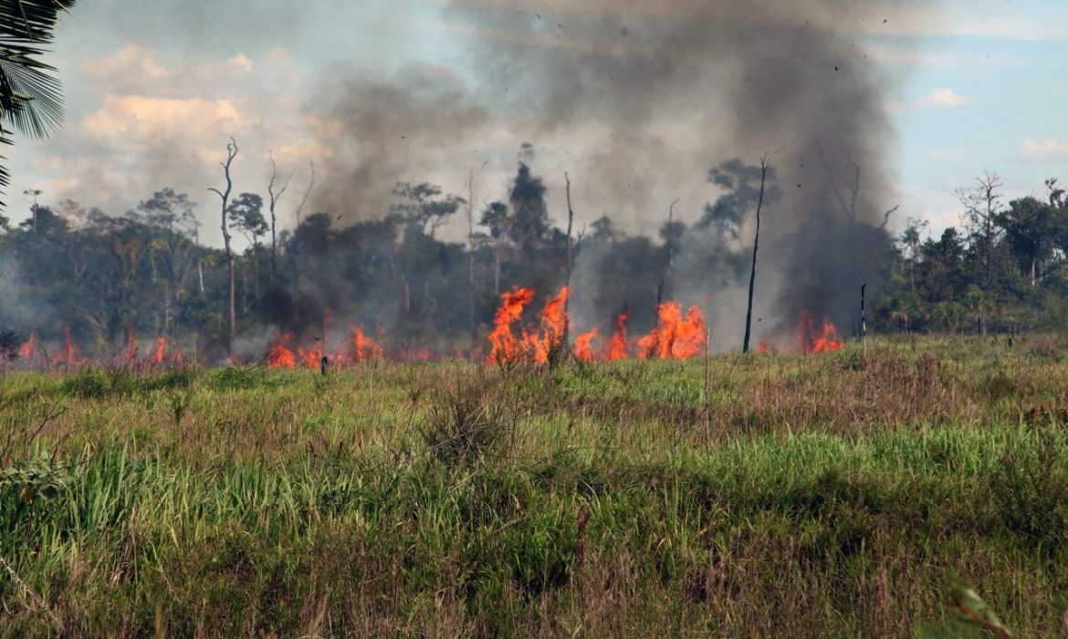 JARU: 15 focos de incêndio foram registrados nos últimos dois dias