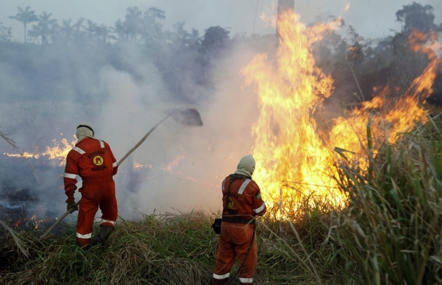 QUEIMADAS: Governo declara estado de emergência devido a incêndios florestais