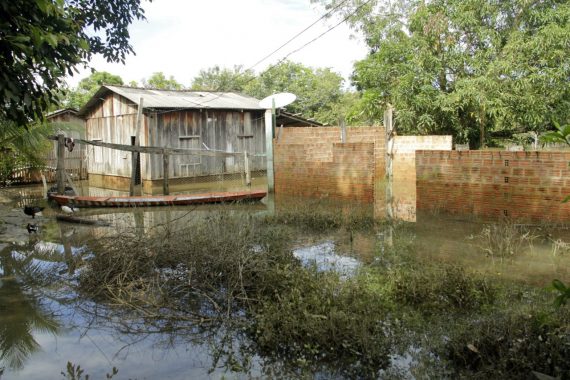 INSETICIDA: Zonas críticas de malária em Rondônia receberão mosquiteiros