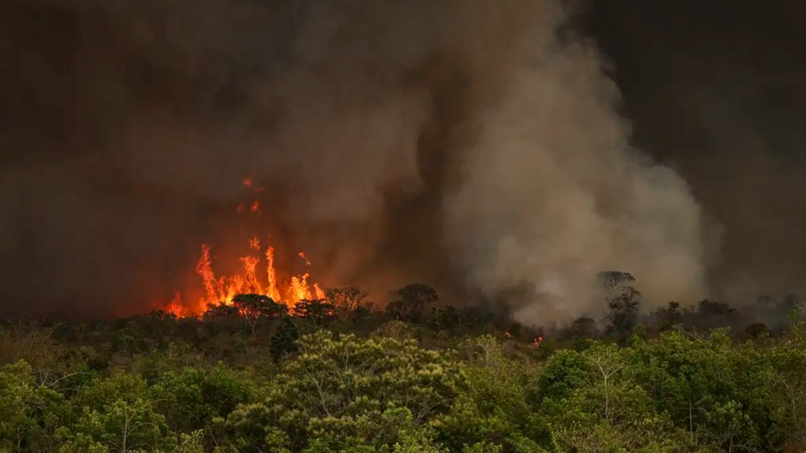 RESCALDO: Brasil tem 22,38 milhões de hectares atingidos pelo fogo em nove meses