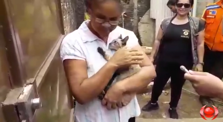 VÍDEO DO RESGATE: Brigada Municipal, Defesa e Bombeiro Civil aliam esforços para salvar gato