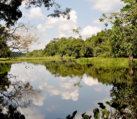 MEIO AMBIENTE: Secretário da Sedam quer destravar processos de licenciamentos ambientais