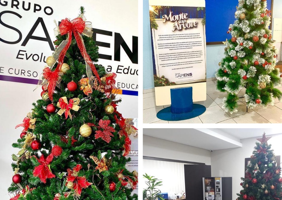 PAZ E ALEGRIA: Árvore de Natal é montada no colégio e na faculdade do Grupo Sapiens