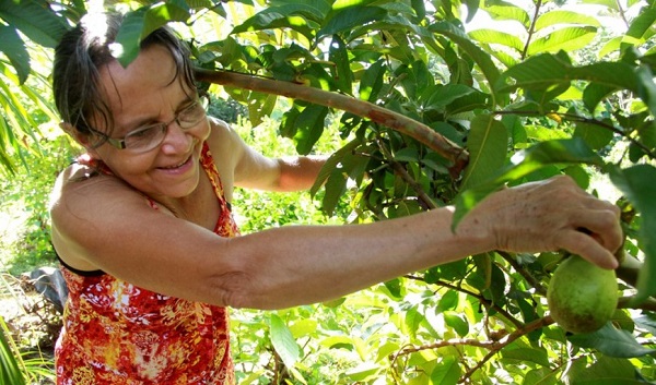 DIAGNÓSTICO: Seagri e parceiros reúnem associações e cooperativas da agricultura familiar na capital