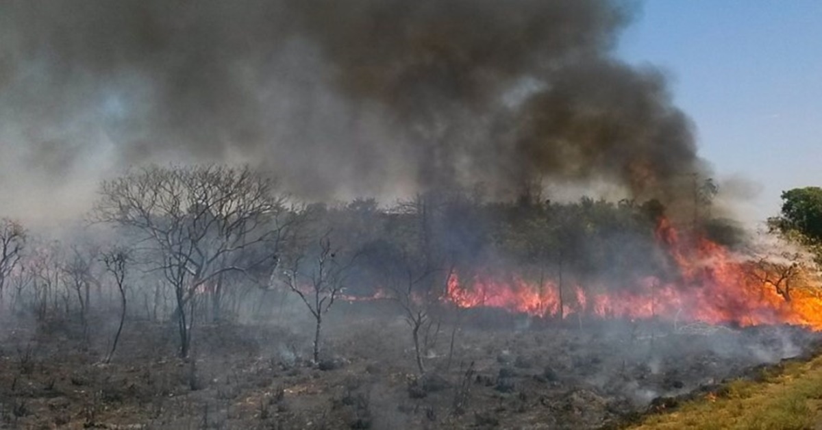 QUEIMADAS: Deputados Federais aprovam política para manejo do fogo