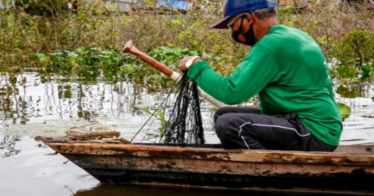 DEFESO: Rondônia suspende captura e transporte de oito espécies de peixes