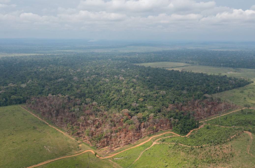 AMAZÔNIA: Incra e Fiero firmam parceria para apoiar regularização fundiária