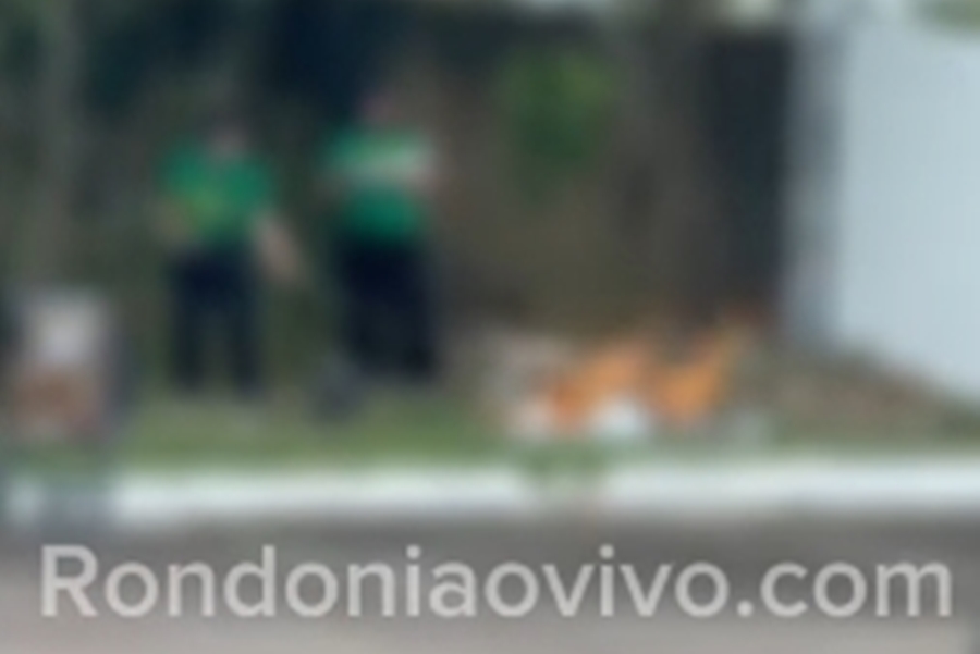 QUEIMANDO PAPÉIS: Fiscais da Sema multam Havan por crime ambiental em Porto Velho; Veja vídeo