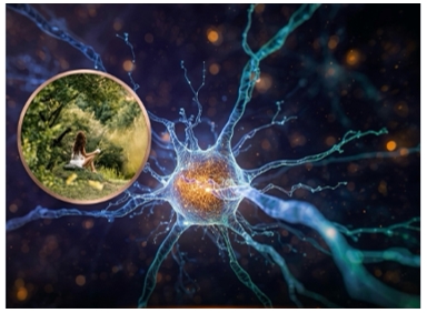 PSICOLOGIA: A forma mais elevada de paz é ter zero desejo de ser compreendido 