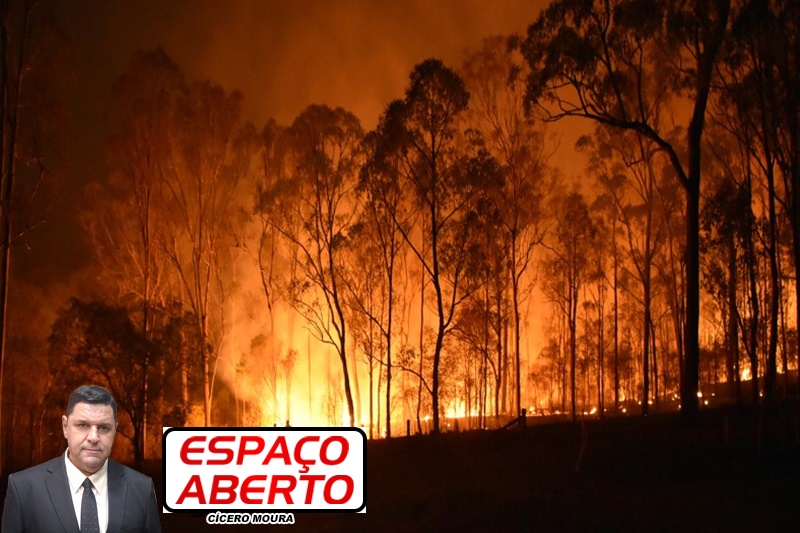 ESPAÇO ABERTO: Porto Velho está entre os vilões que provocam aquecimento global