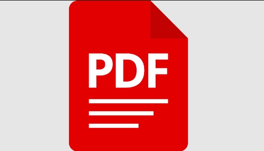 Serviços digitais e documentos em PDF: o avanço da tecnologia em Rondônia